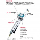 FG-456 電子流量表
